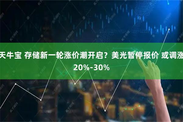 天牛宝 存储新一轮涨价潮开启？美光暂停报价 或调涨20%-30%