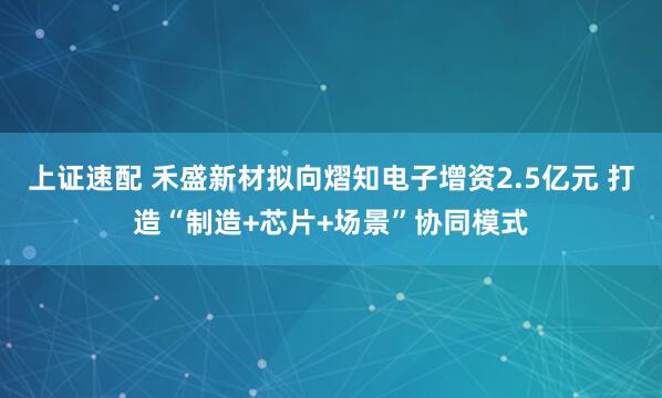 上证速配 禾盛新材拟向熠知电子增资2.5亿元 打造“制造+芯片+场景”协同模式