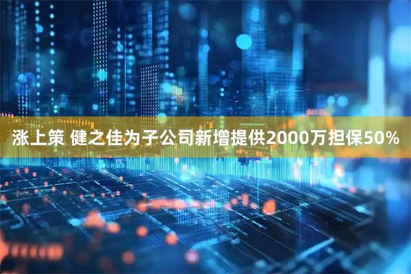 涨上策 健之佳为子公司新增提供2000万担保50%