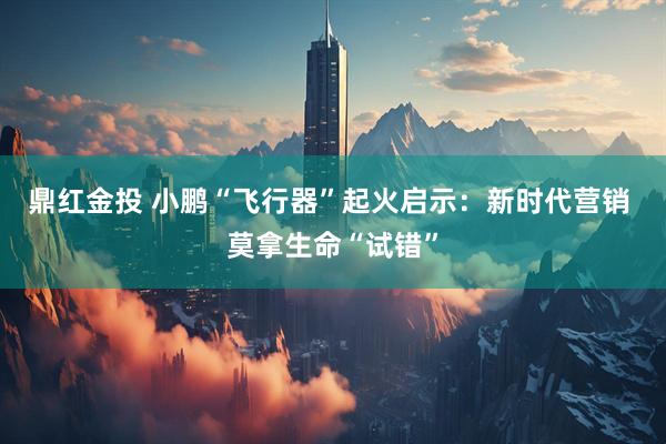 鼎红金投 小鹏“飞行器”起火启示：新时代营销 莫拿生命“试错”