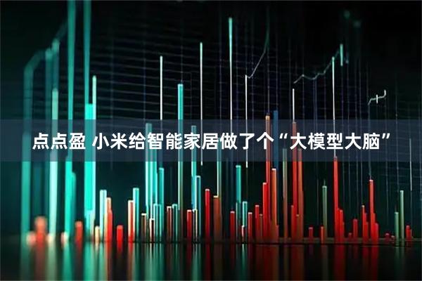 点点盈 小米给智能家居做了个“大模型大脑”
