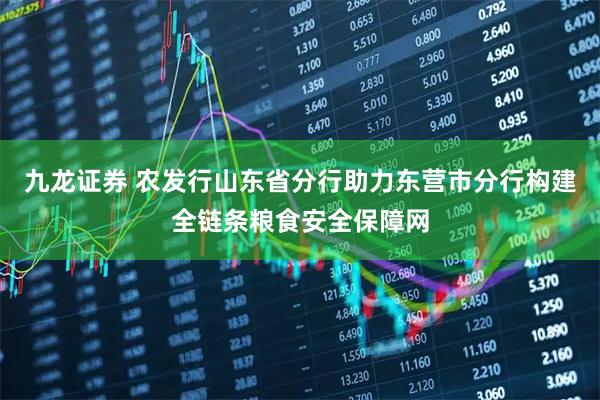 九龙证券 农发行山东省分行助力东营市分行构建全链条粮食安全保障网