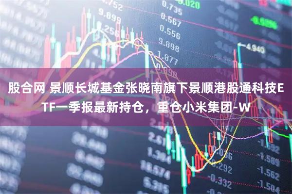 股合网 景顺长城基金张晓南旗下景顺港股通科技ETF一季报最新持仓，重仓小米集团-W