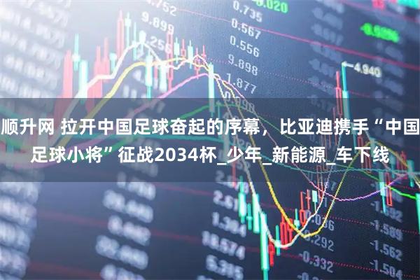 顺升网 拉开中国足球奋起的序幕，比亚迪携手“中国足球小将”征战2034杯_少年_新能源_车下线